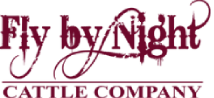 Our Logo