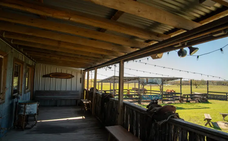 cattle company